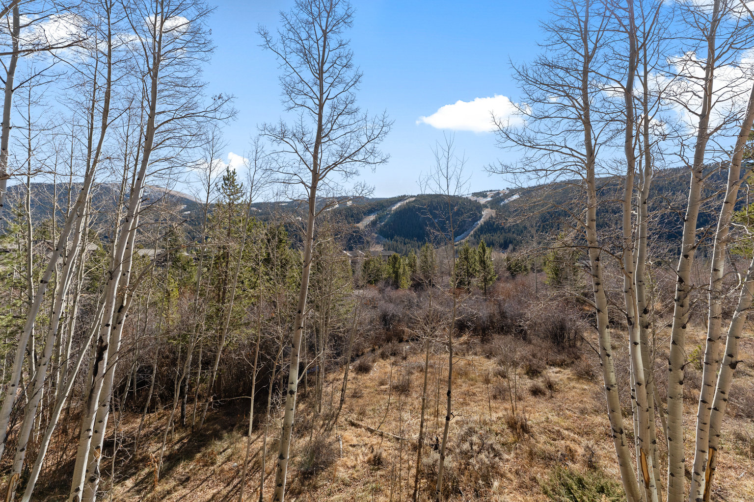 Keystone Vacation Rental