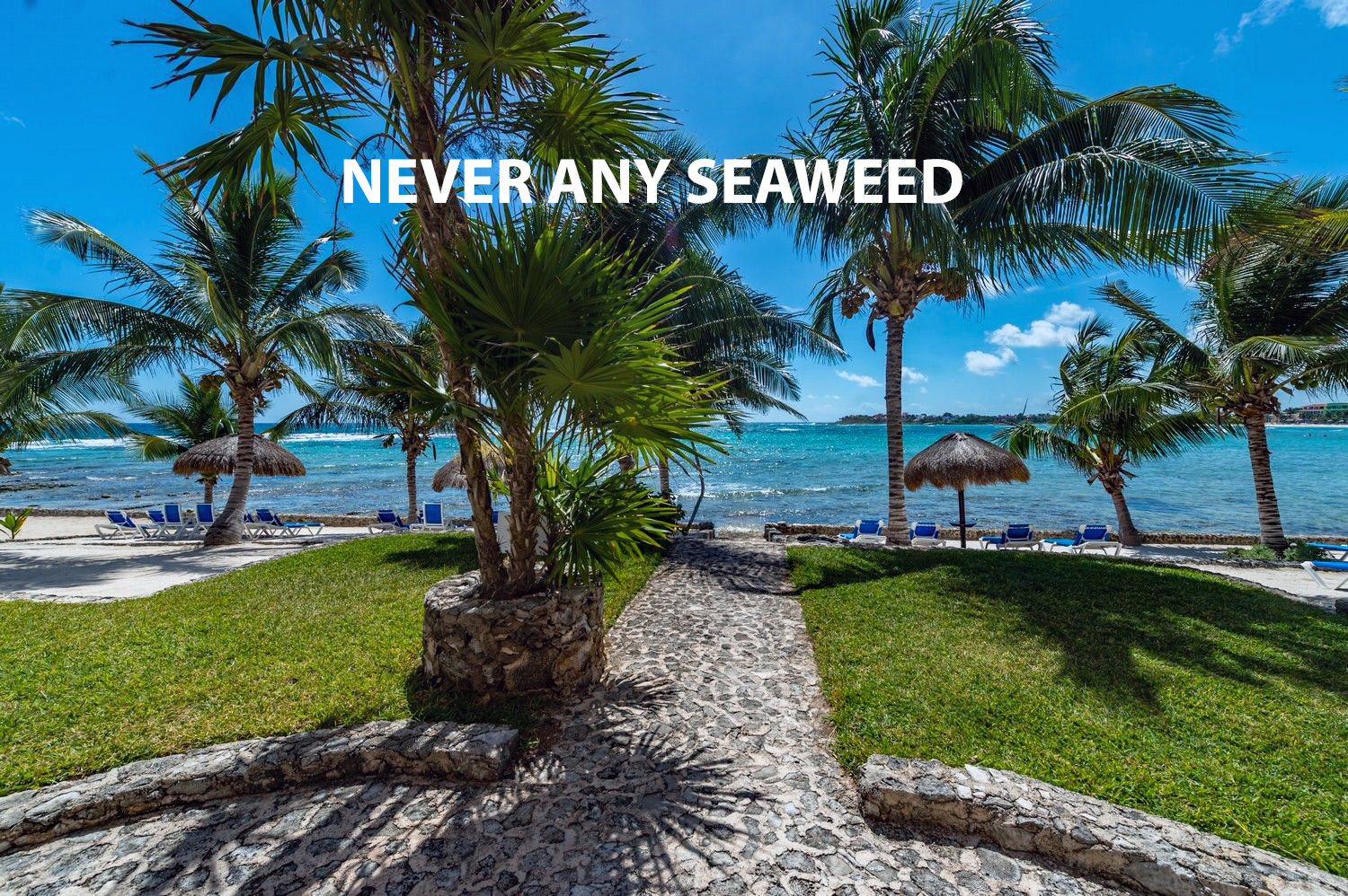 Akumal Vacation Rental