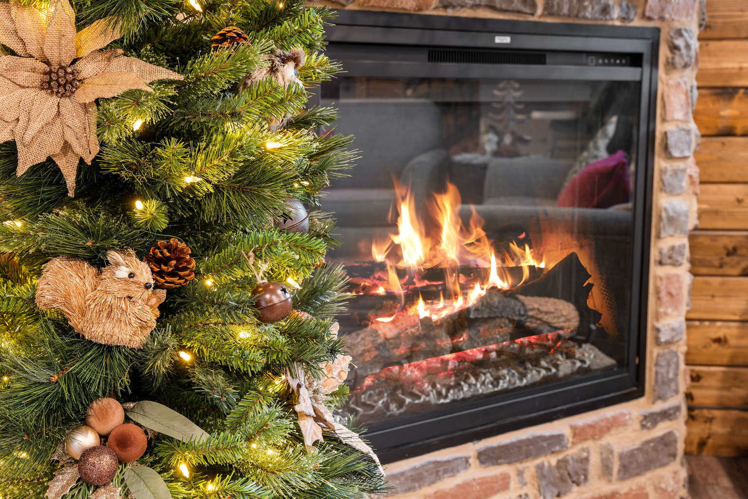 Hollister Vacation Rental