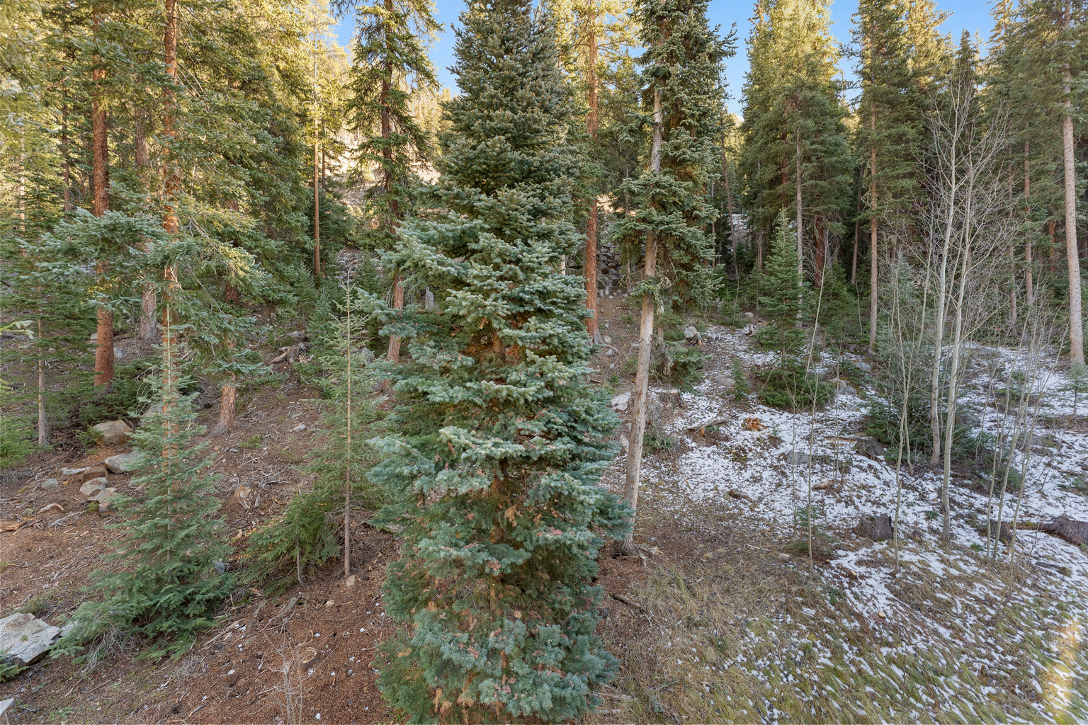 Keystone Vacation Rental