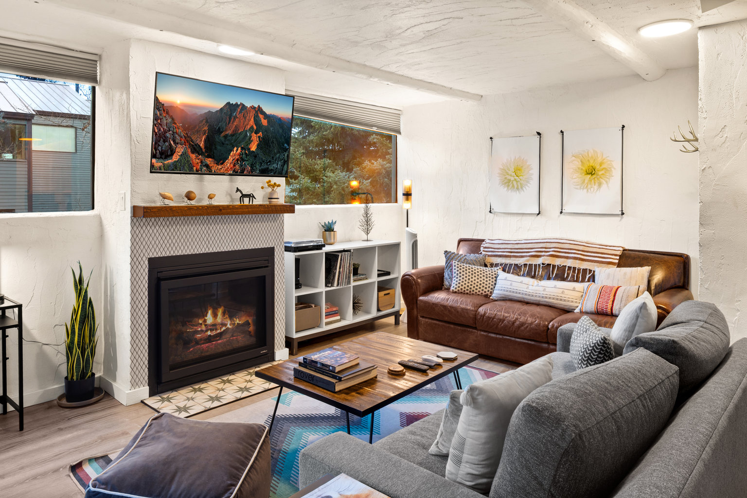 Telluride Vacation Rental