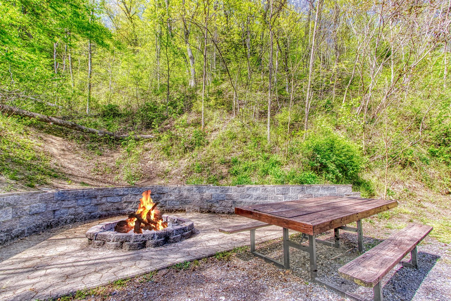 Cosby Vacation Rental