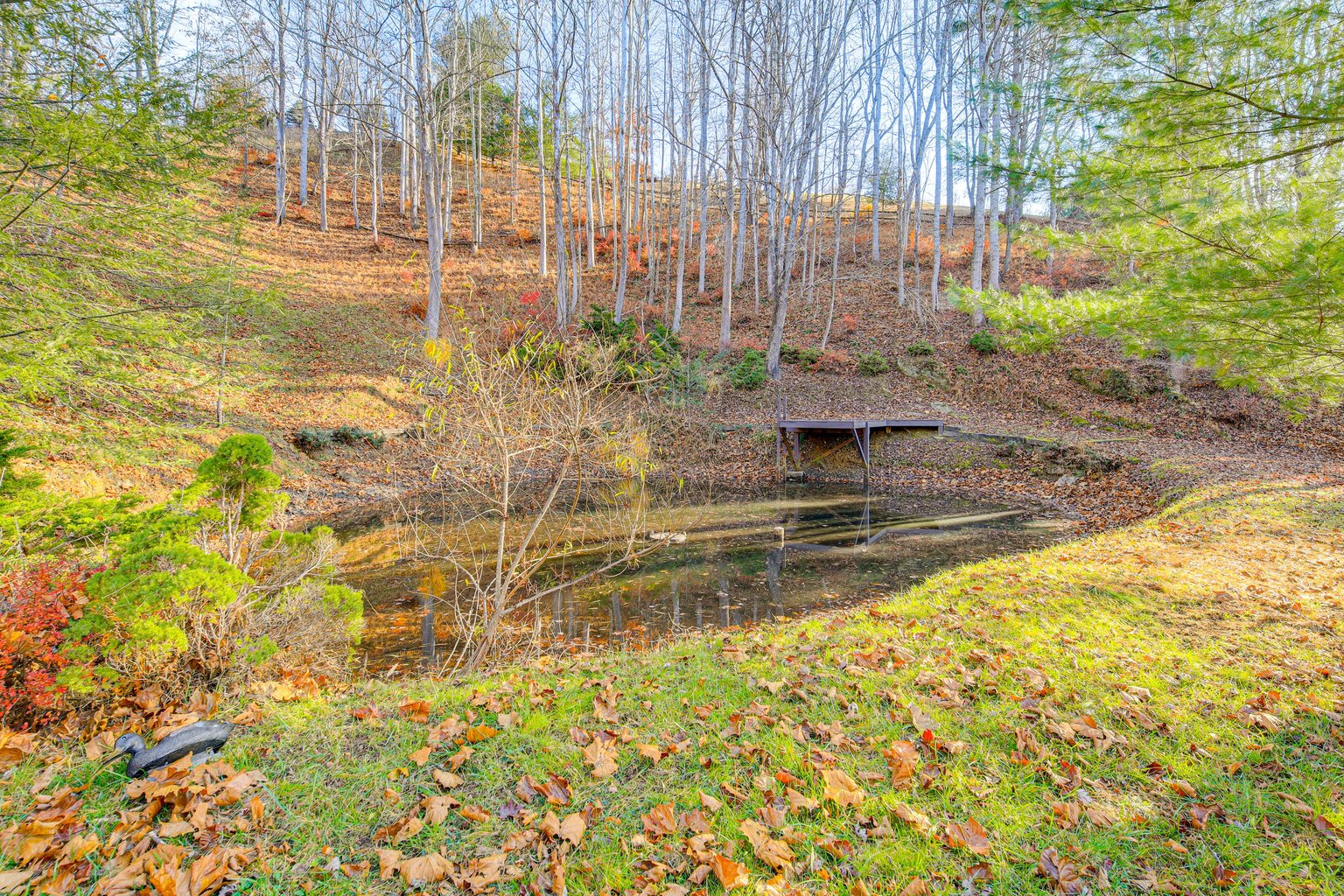 Piney Creek Vacation Rental