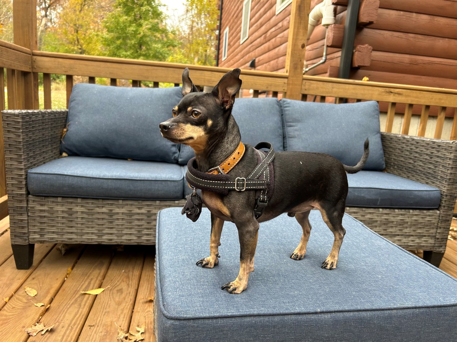 Yorkville Vacation Rental