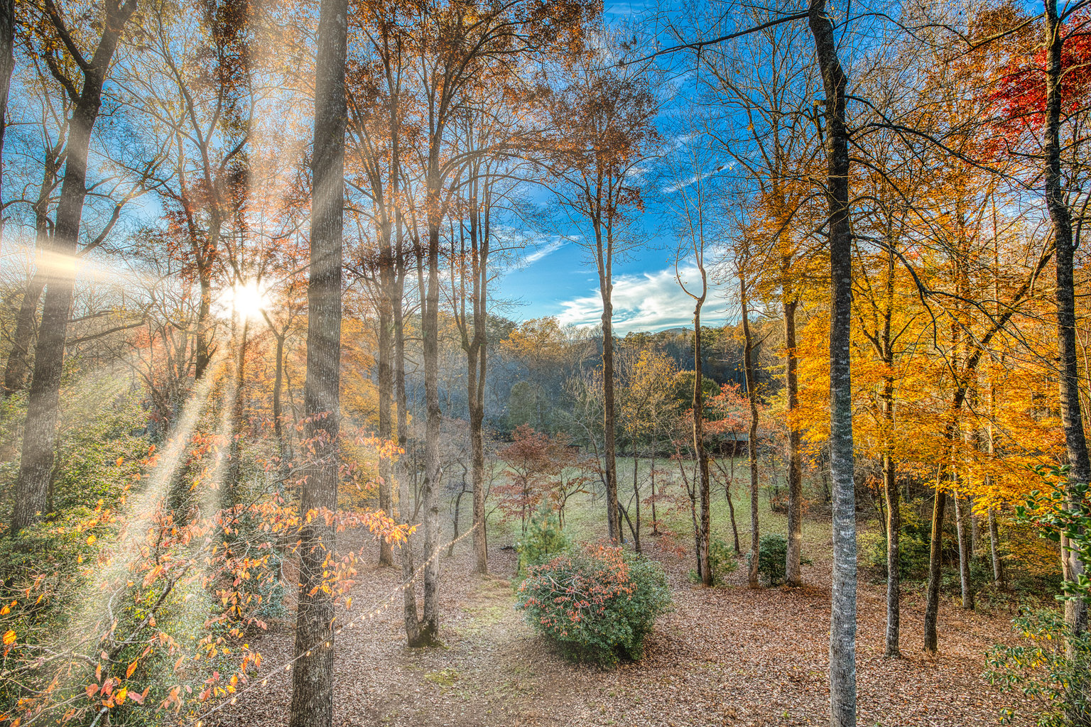 Fannin County Vacation Rental