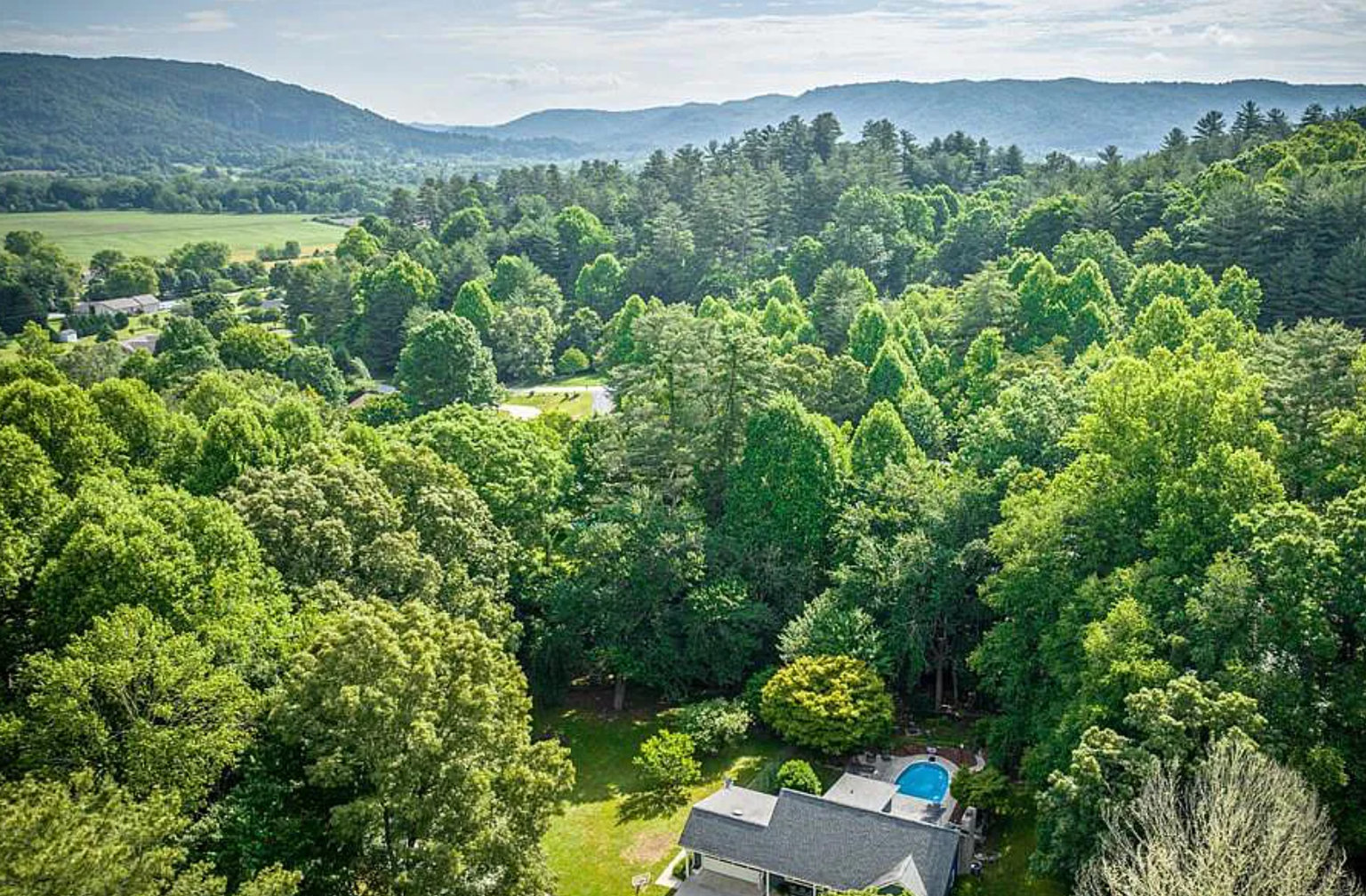Pisgah Forest Vacation Rental