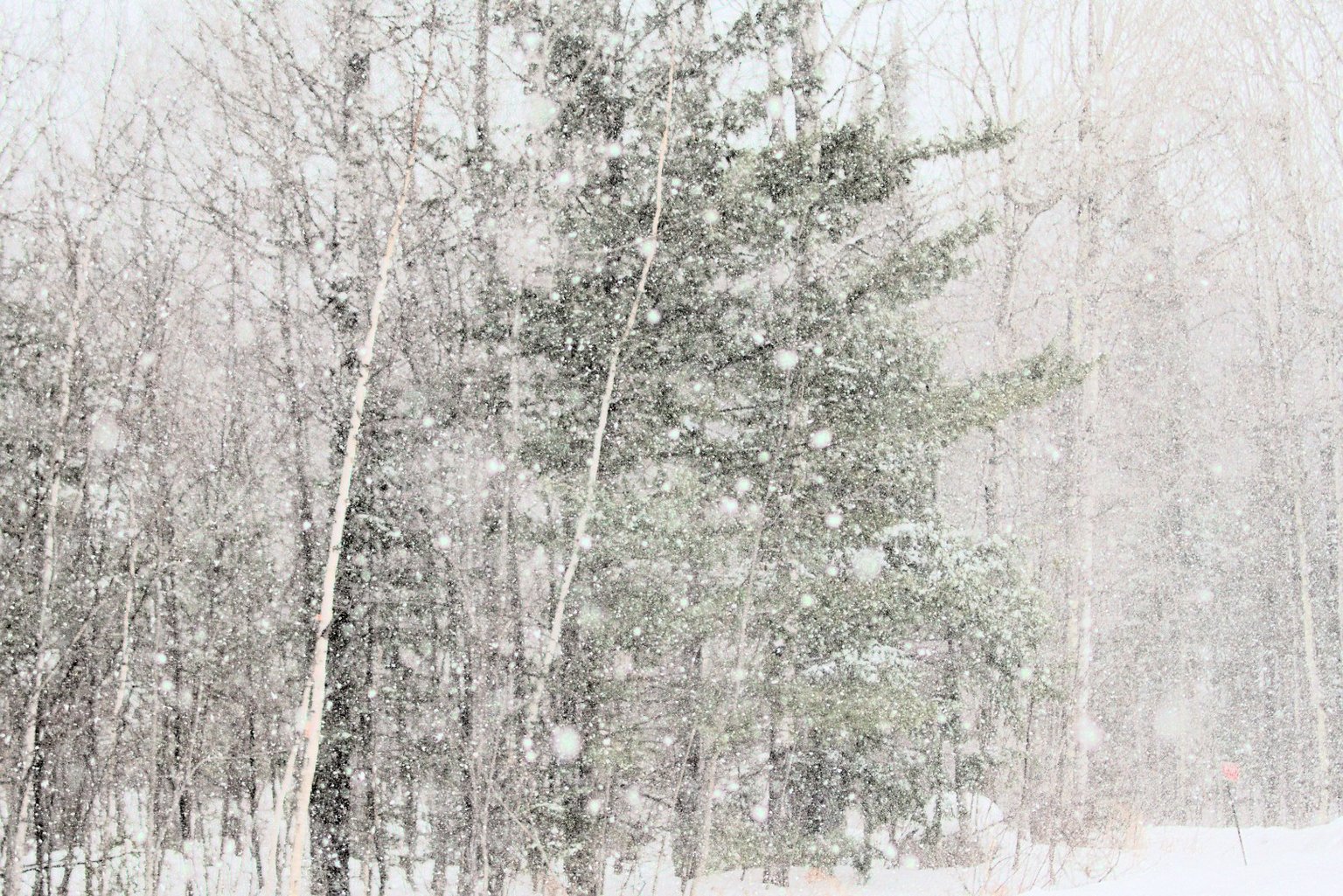 Bayfield Vacation Rental