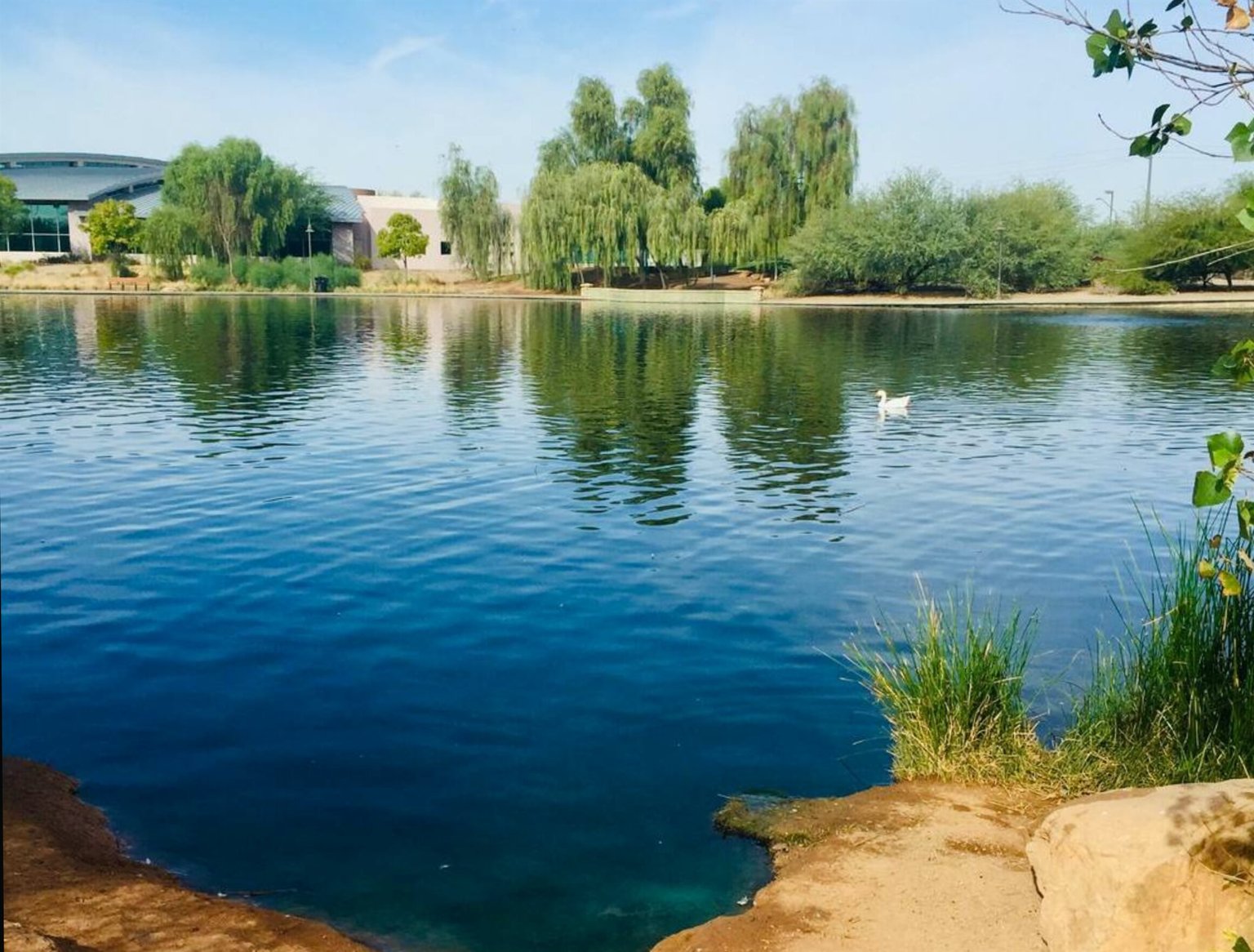 Gilbert Vacation Rental