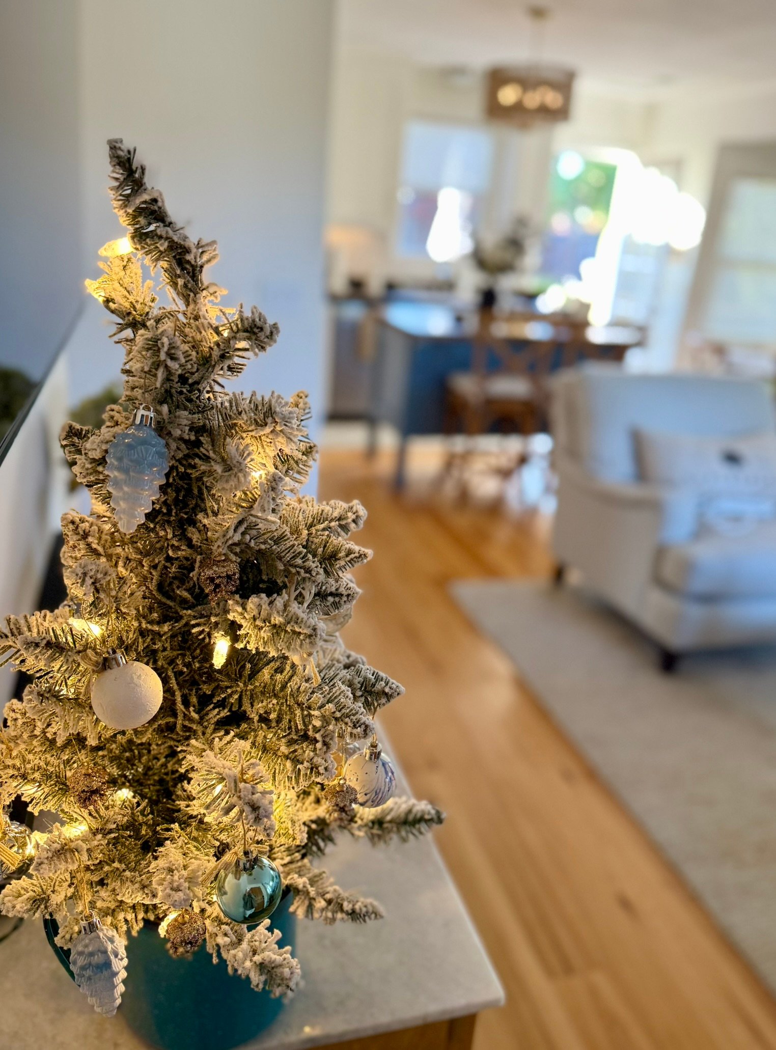 Healdsburg Vacation Rental