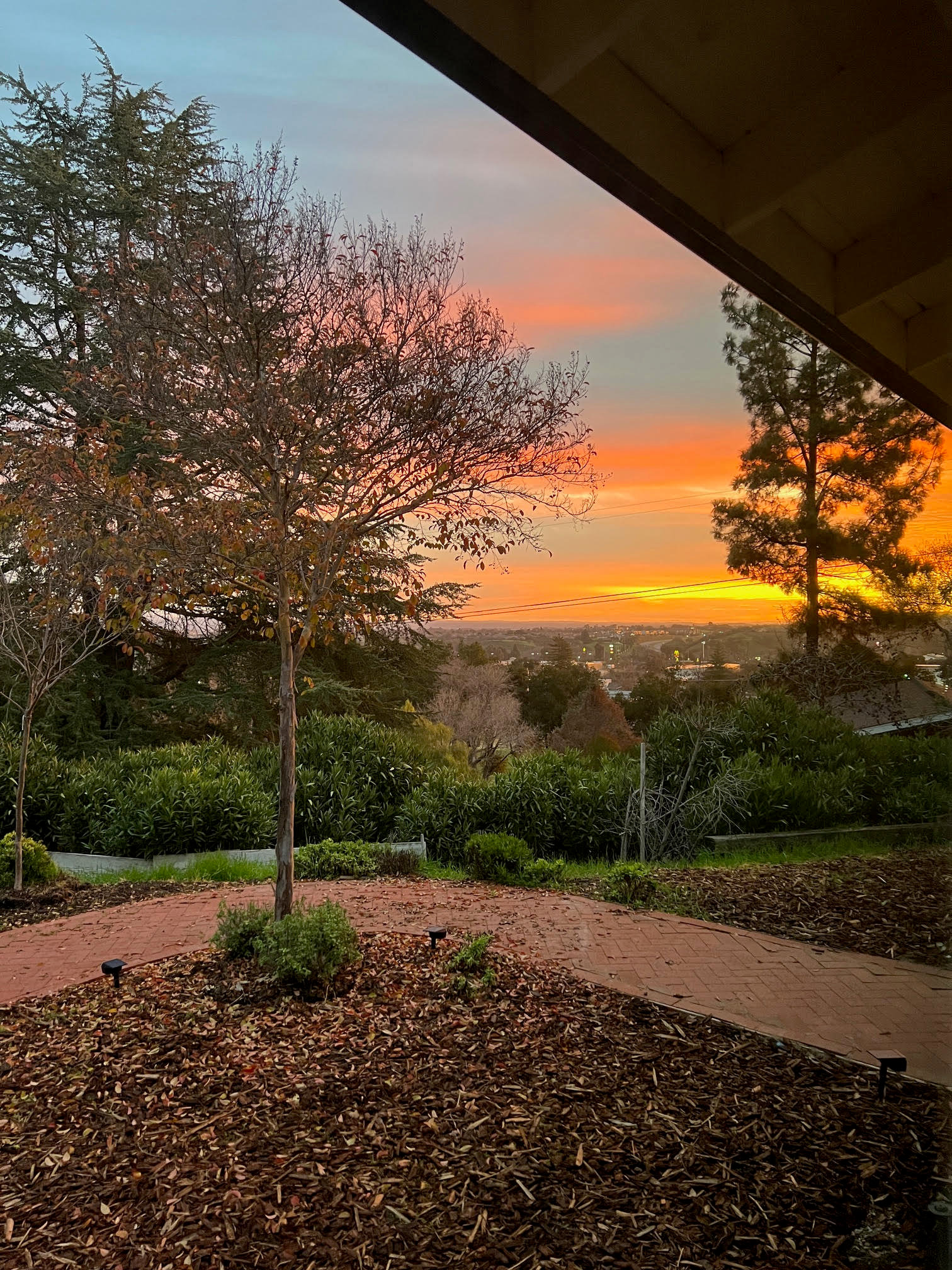 Paso robles Vacation Rental