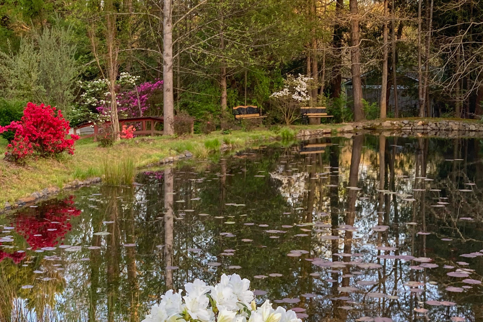 Black Mountain Vacation Rental