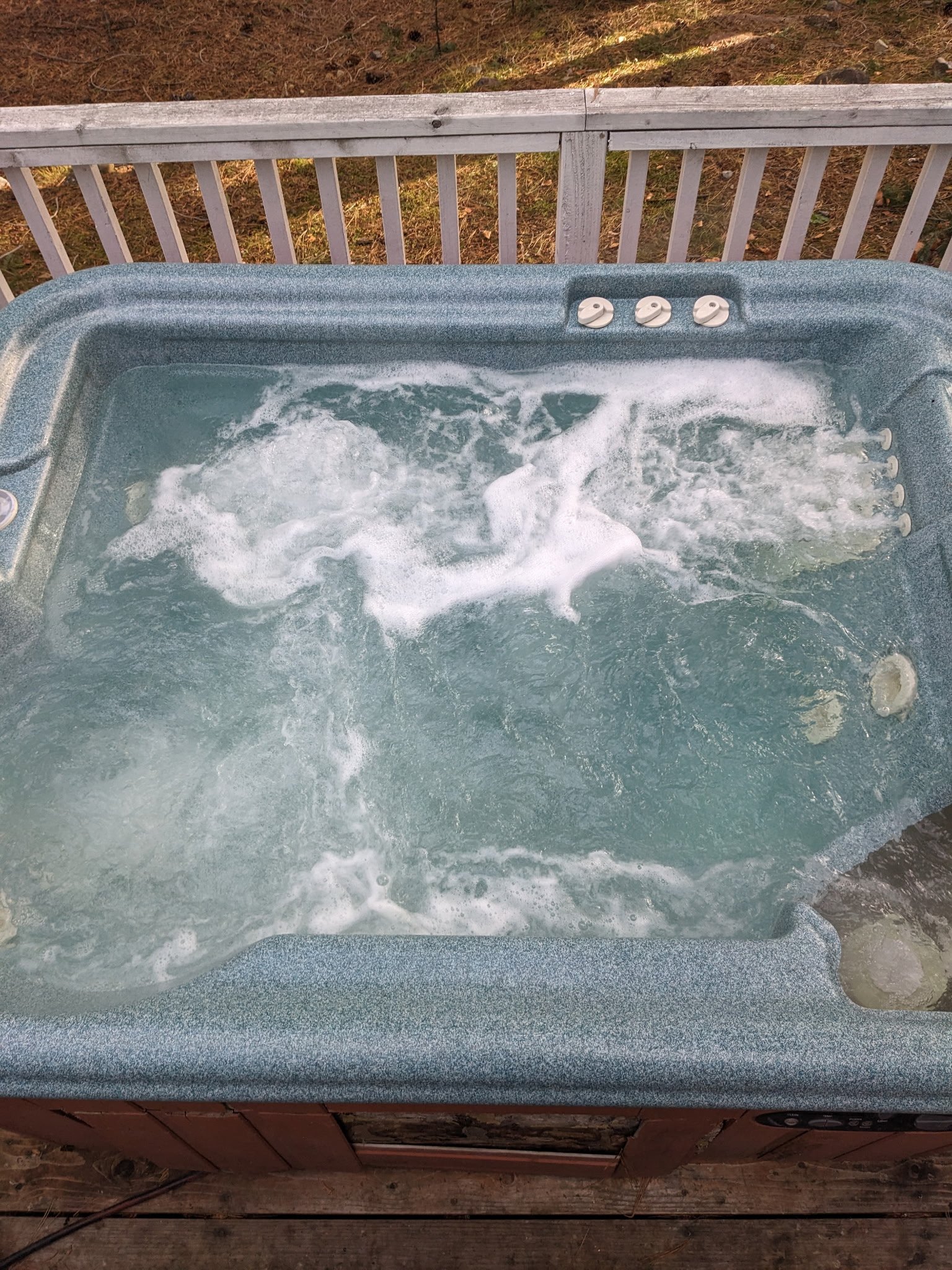 Mt. Shasta Vacation Rental