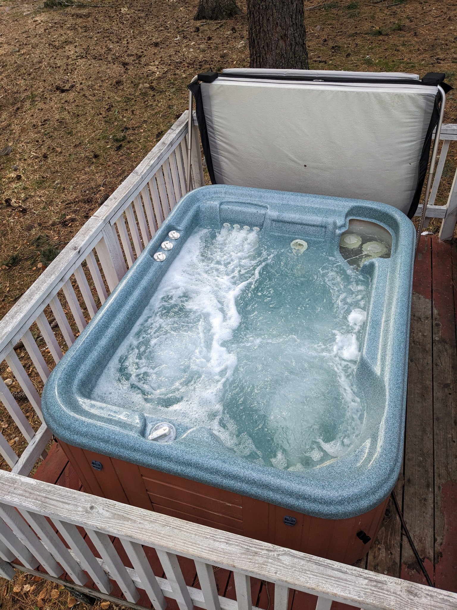 Mt. Shasta Vacation Rental