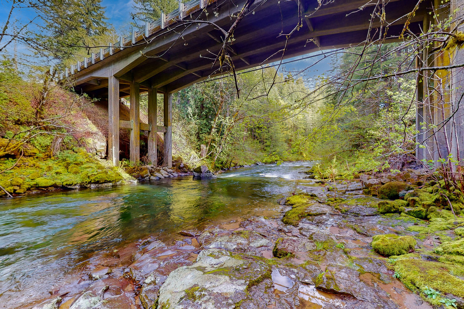 Carson Vacation Rental