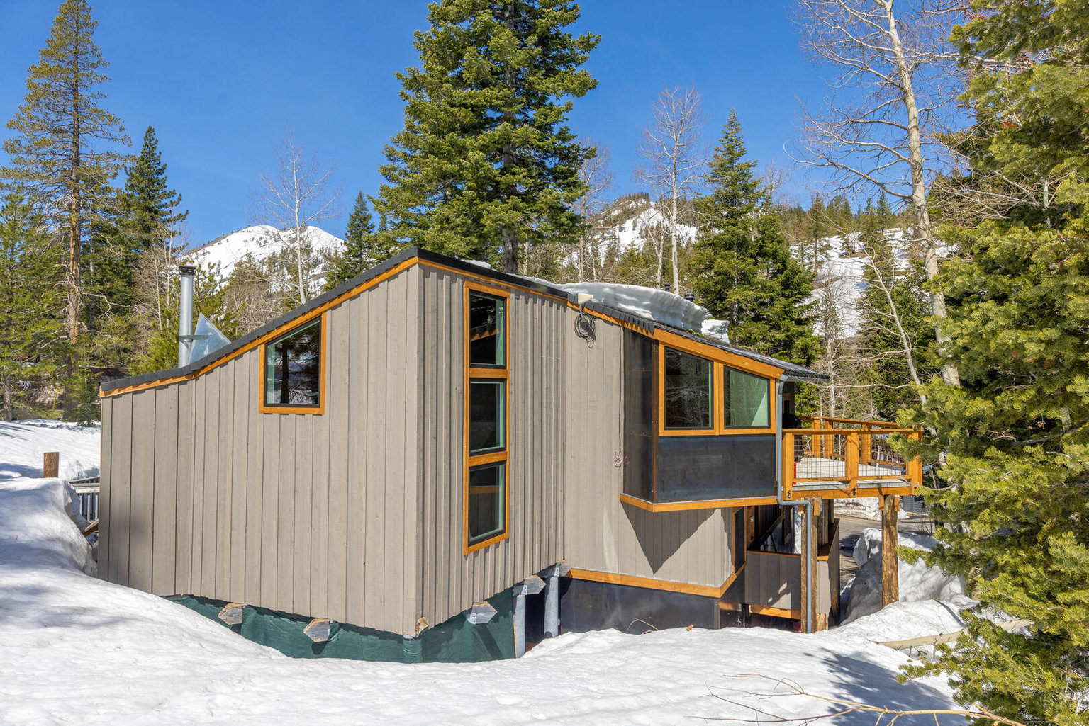 Alpine Meadows Vacation Rental