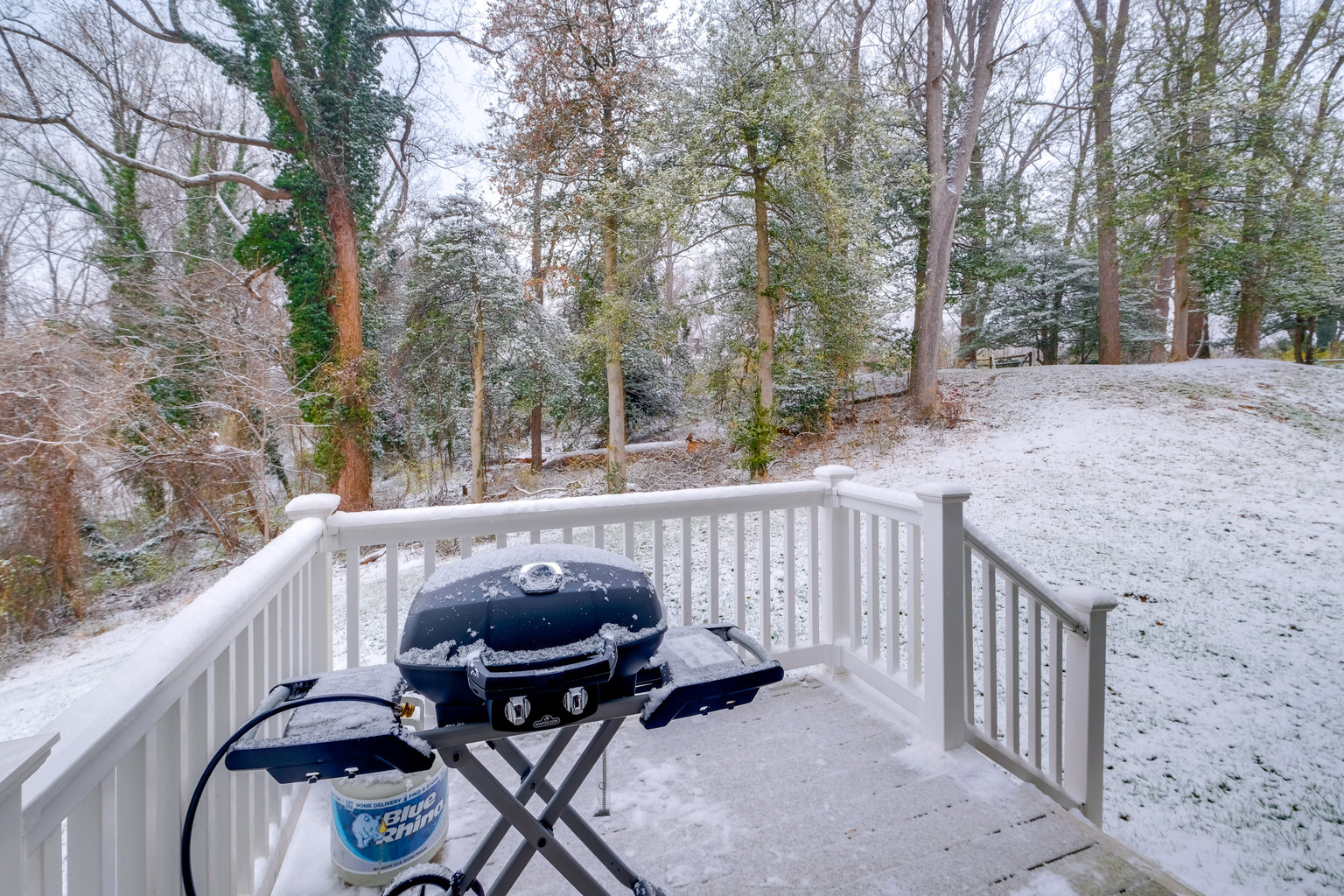 Bowie Vacation Rental