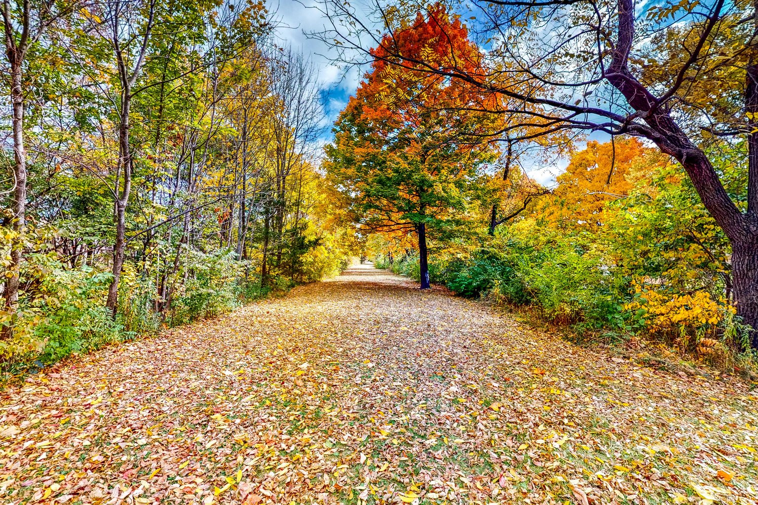 Indianapolis Vacation Rental