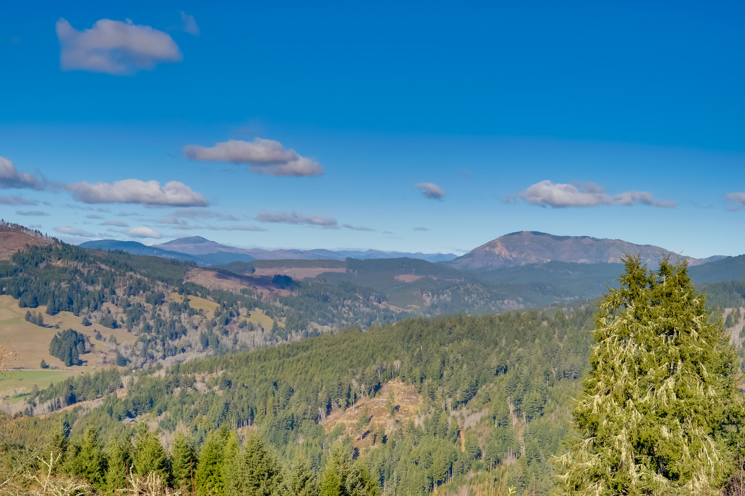 Smith River Vacation Rental