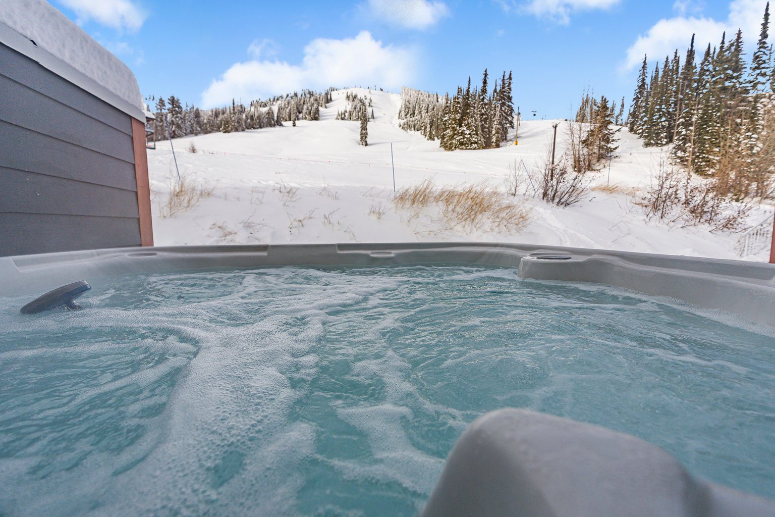 Silver Star Mountain Vacation Rental