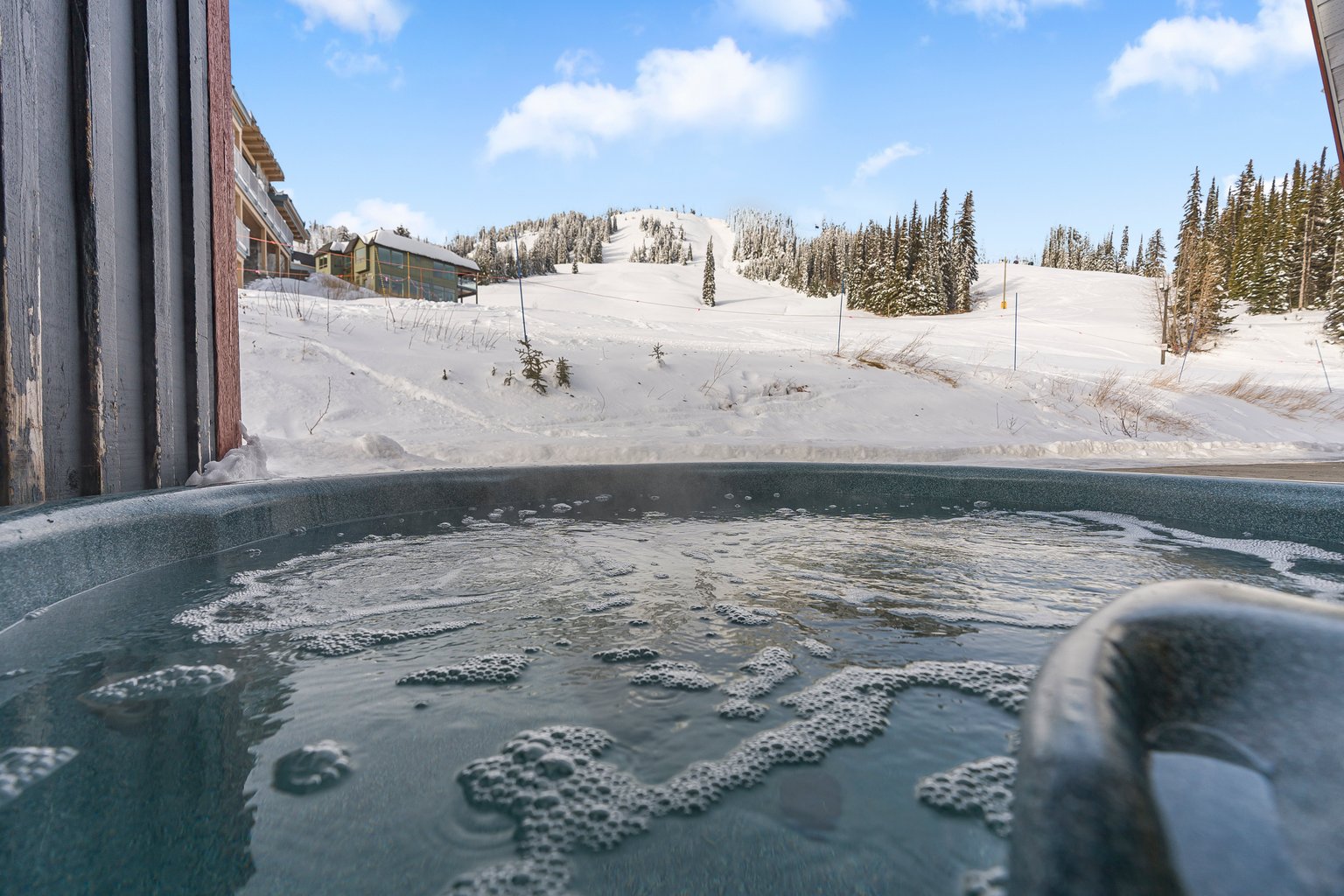 Silver Star Mountain Vacation Rental