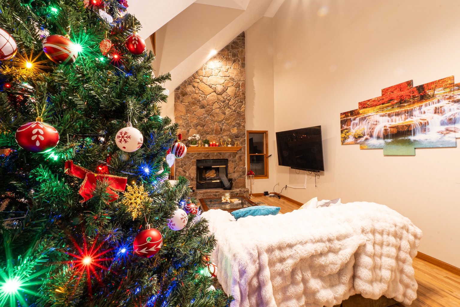 Davis Vacation Rental