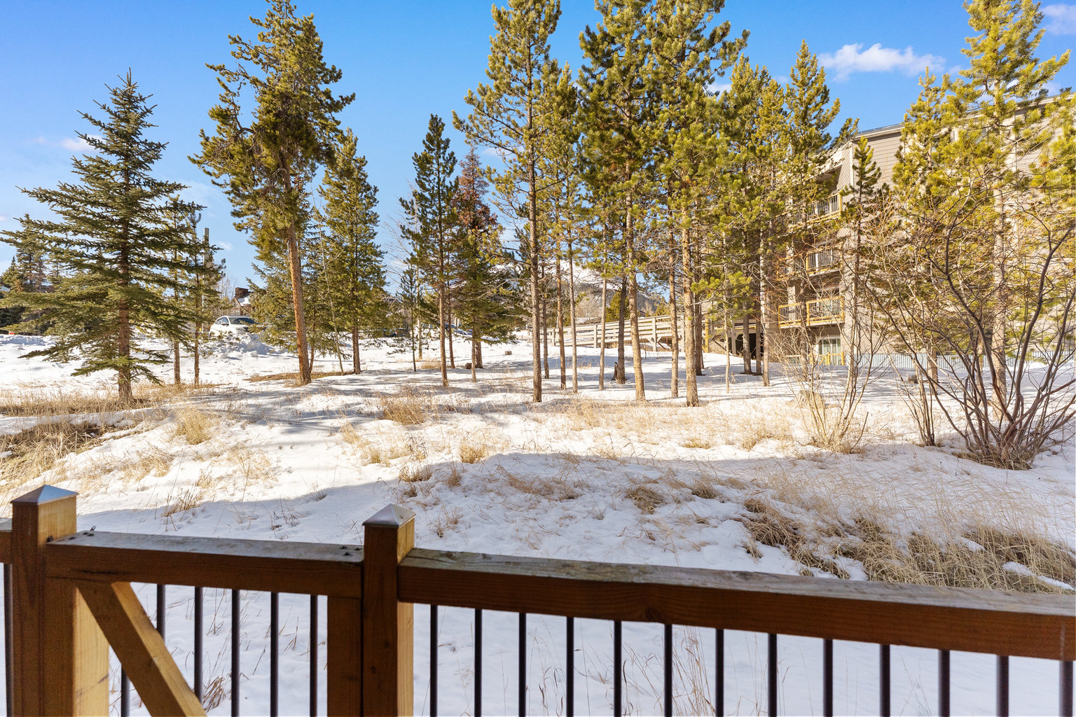Silverthorne Vacation Rental