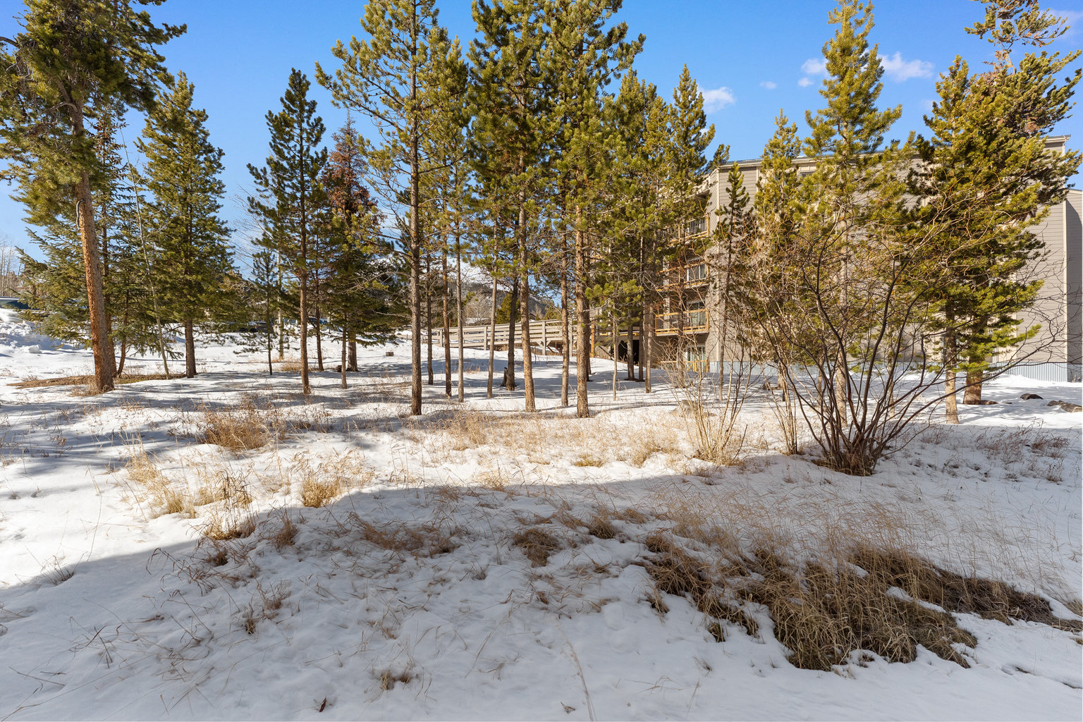 Silverthorne Vacation Rental