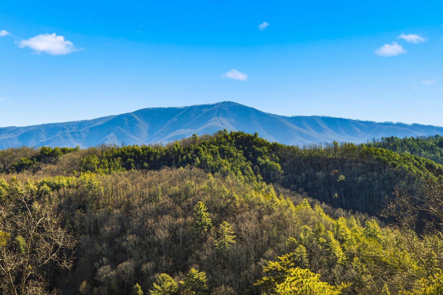 Sevierville Vacation Rental