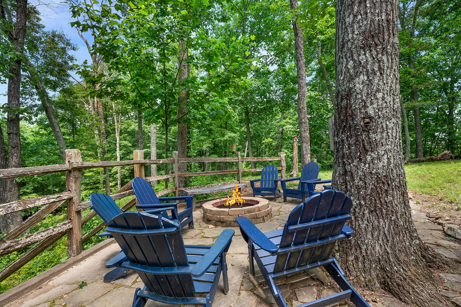 Mineral Bluff Vacation Rental