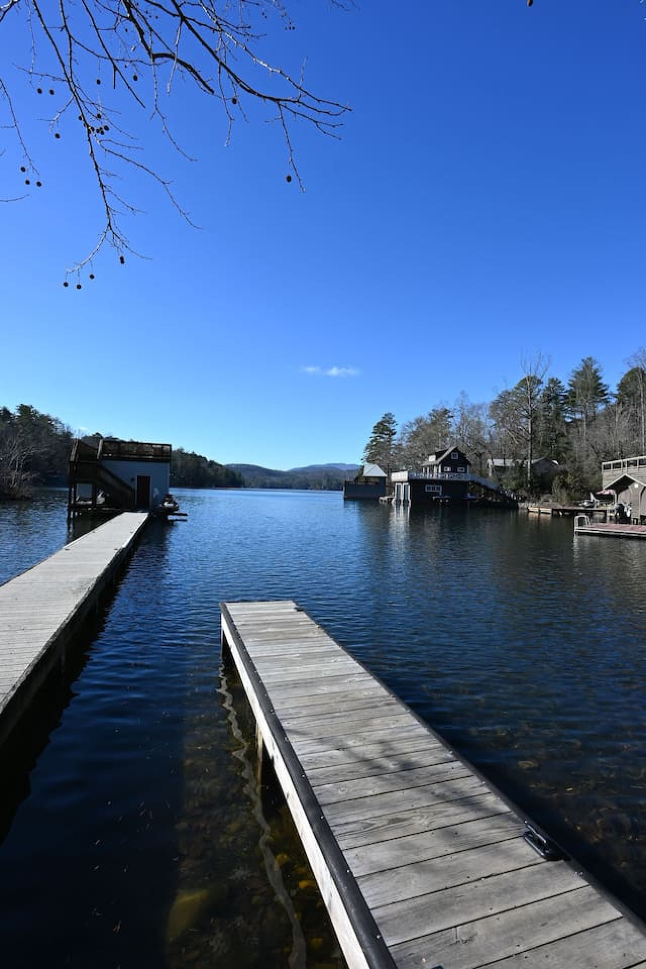 Tiger Vacation Rental