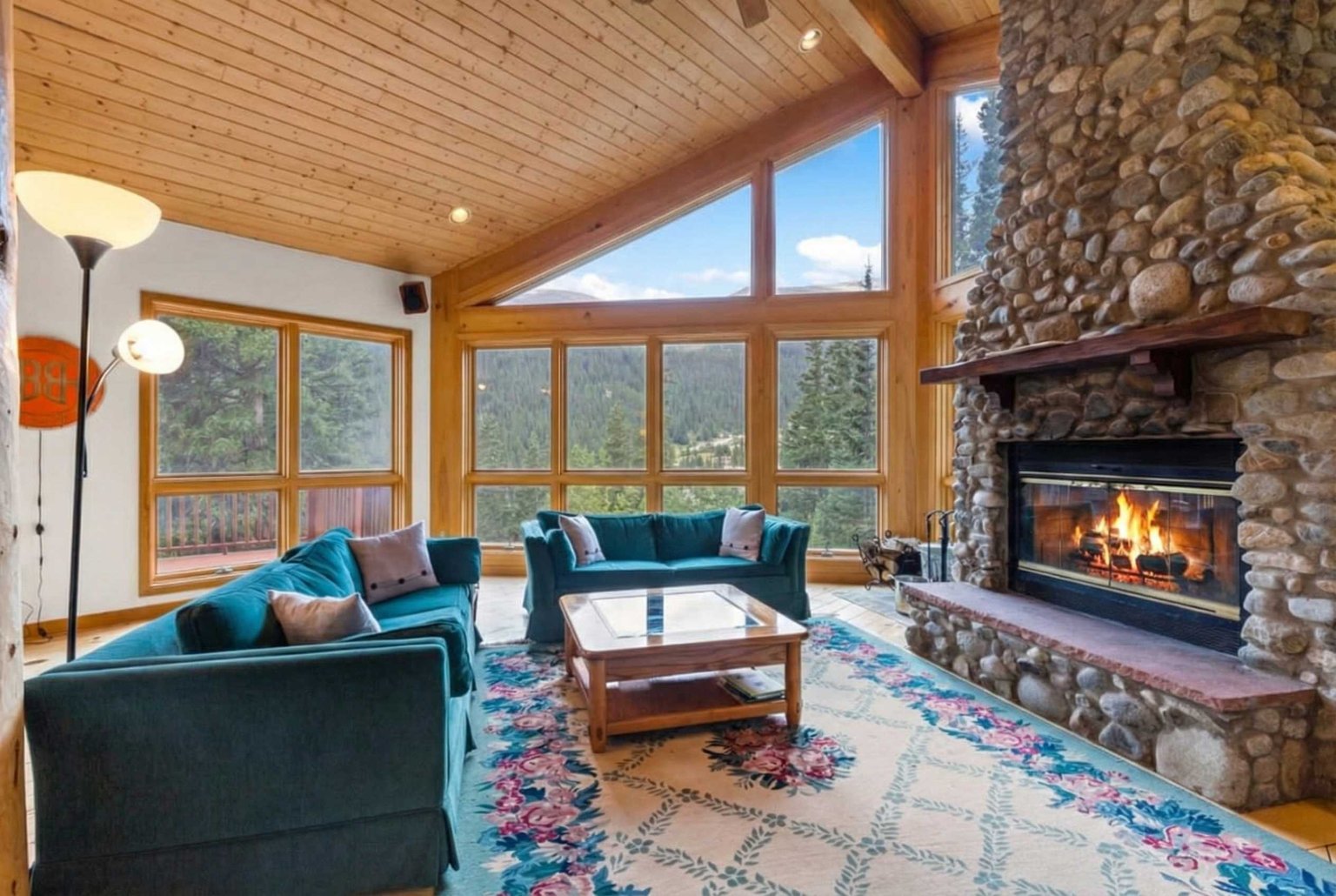 Alma Vacation Rental