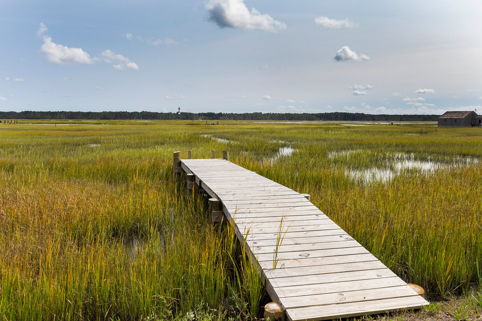 Chincoteague Island Vacation Rental