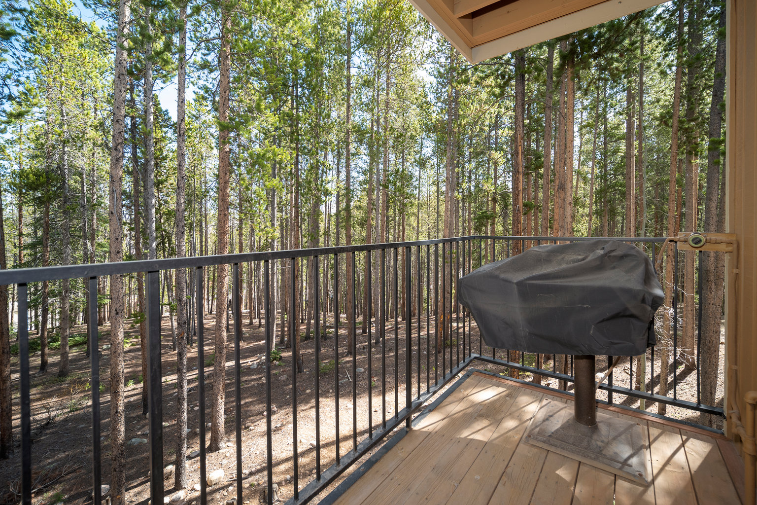 Winter Park Vacation Rental