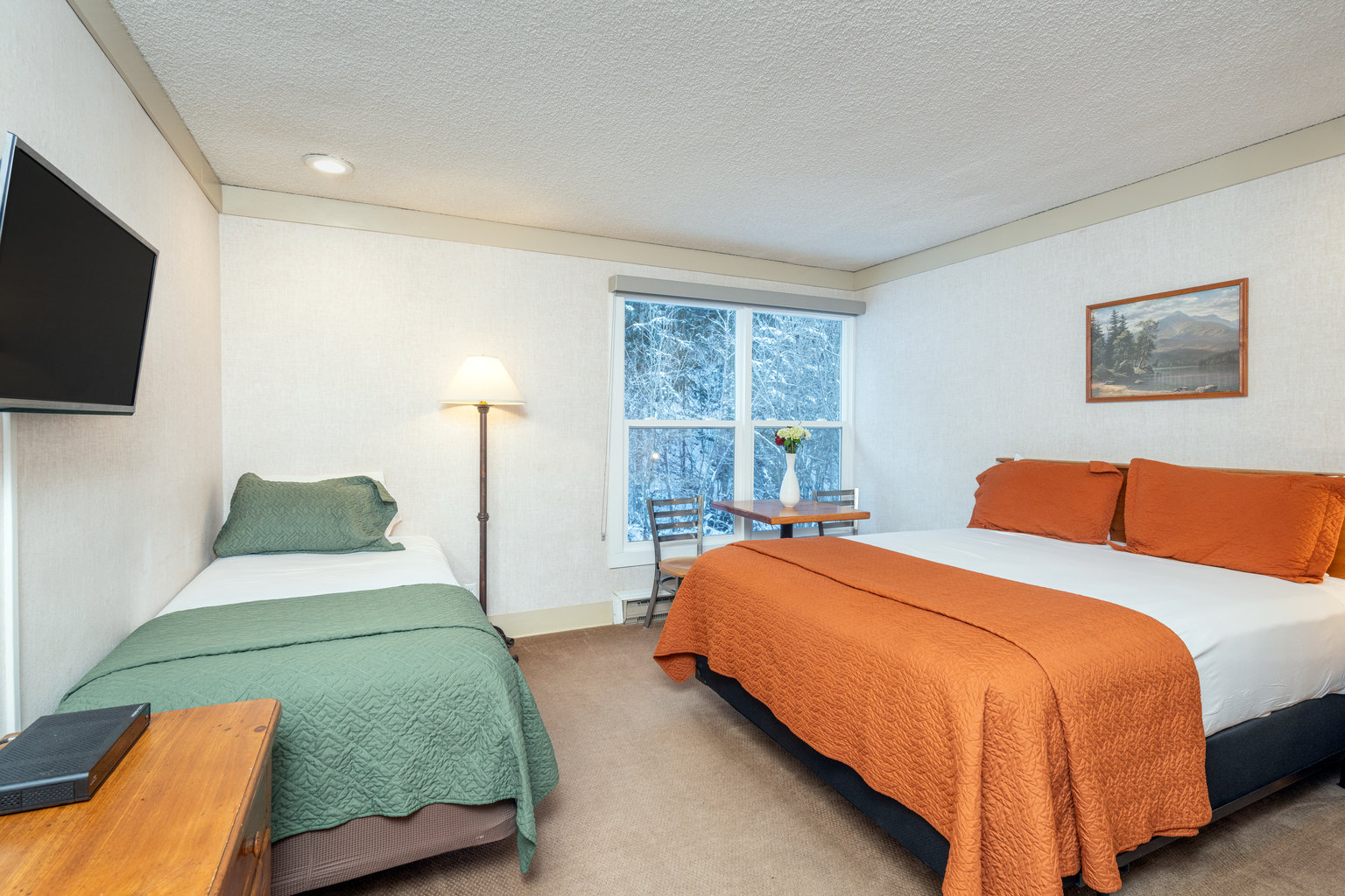 Telluride Vacation Rental