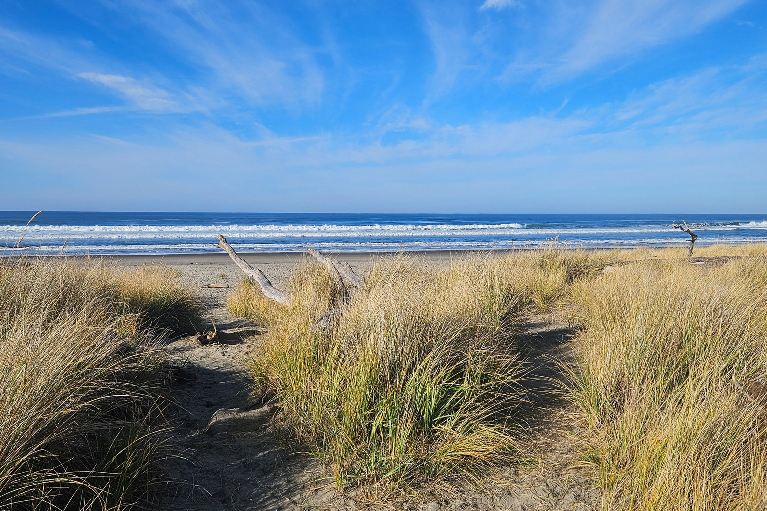 Neskowin Vacation Rental