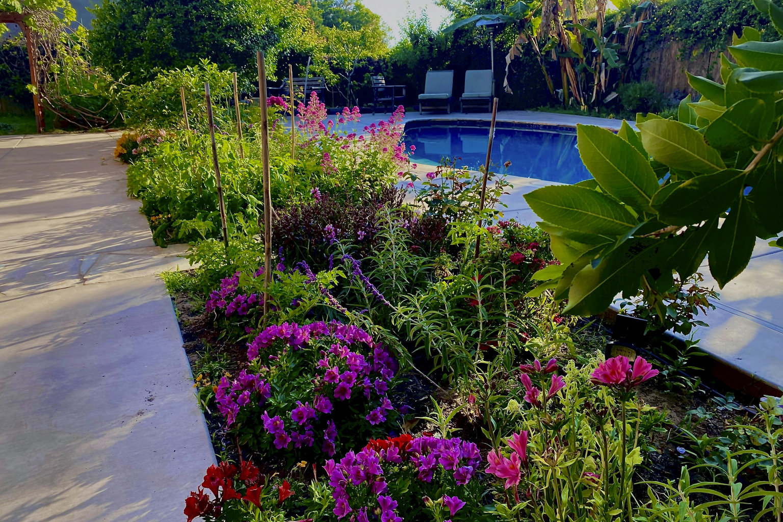 Del Mar Vacation Rental