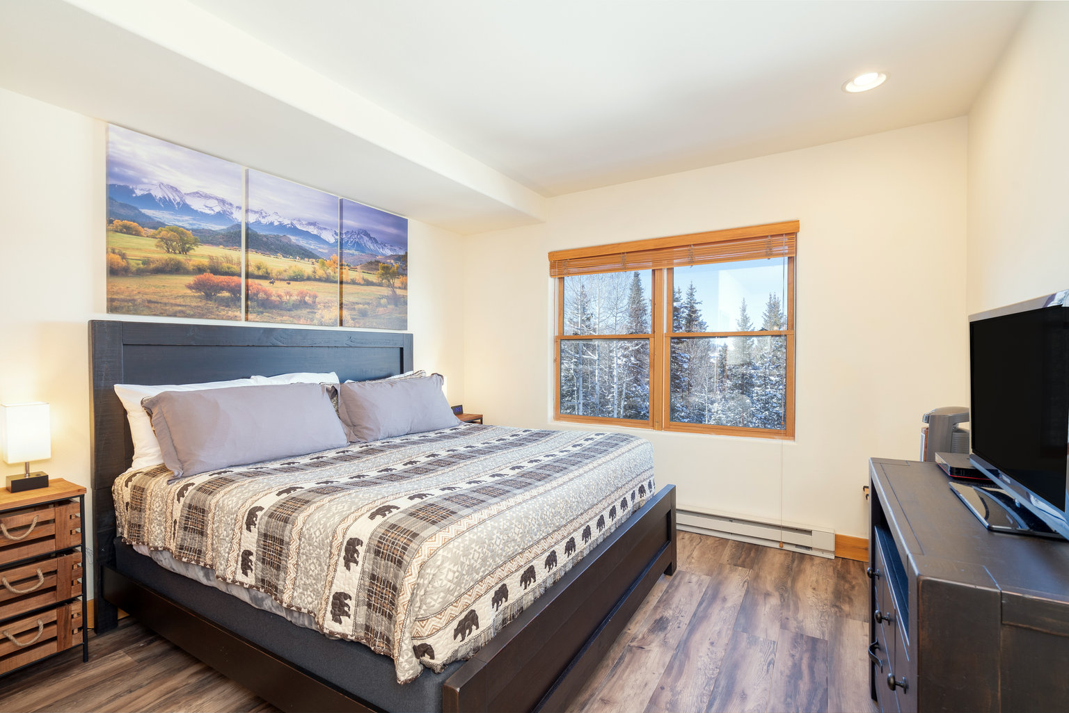 Mountain Village Vacation Rental