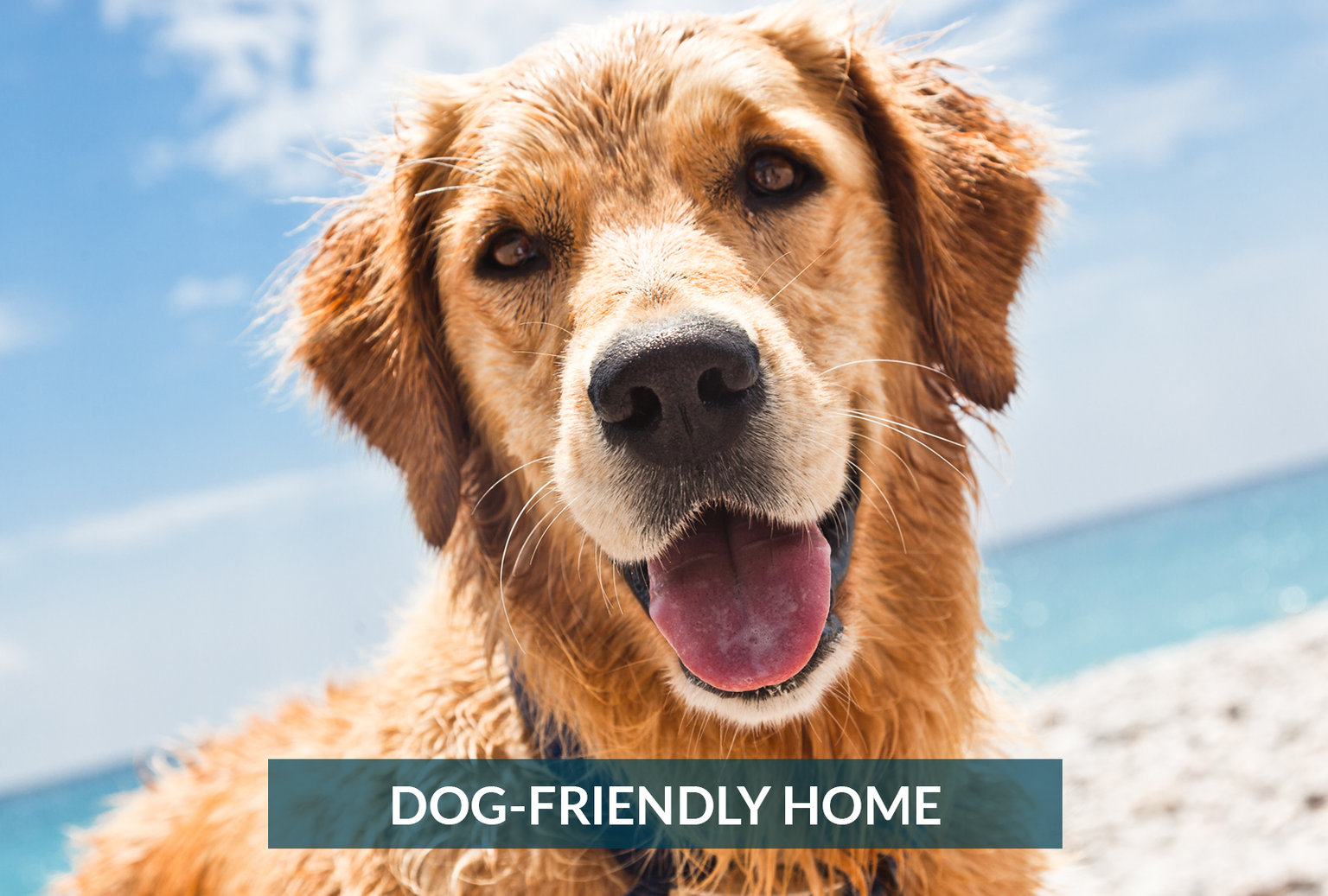 Kill Devil Hills Vacation Rental