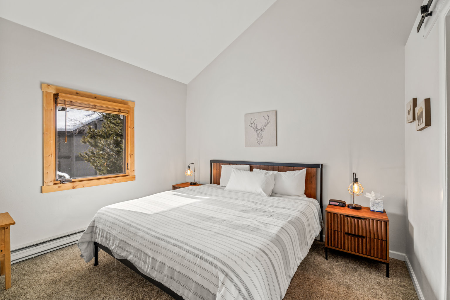 Steamboat Springs Vacation Rental