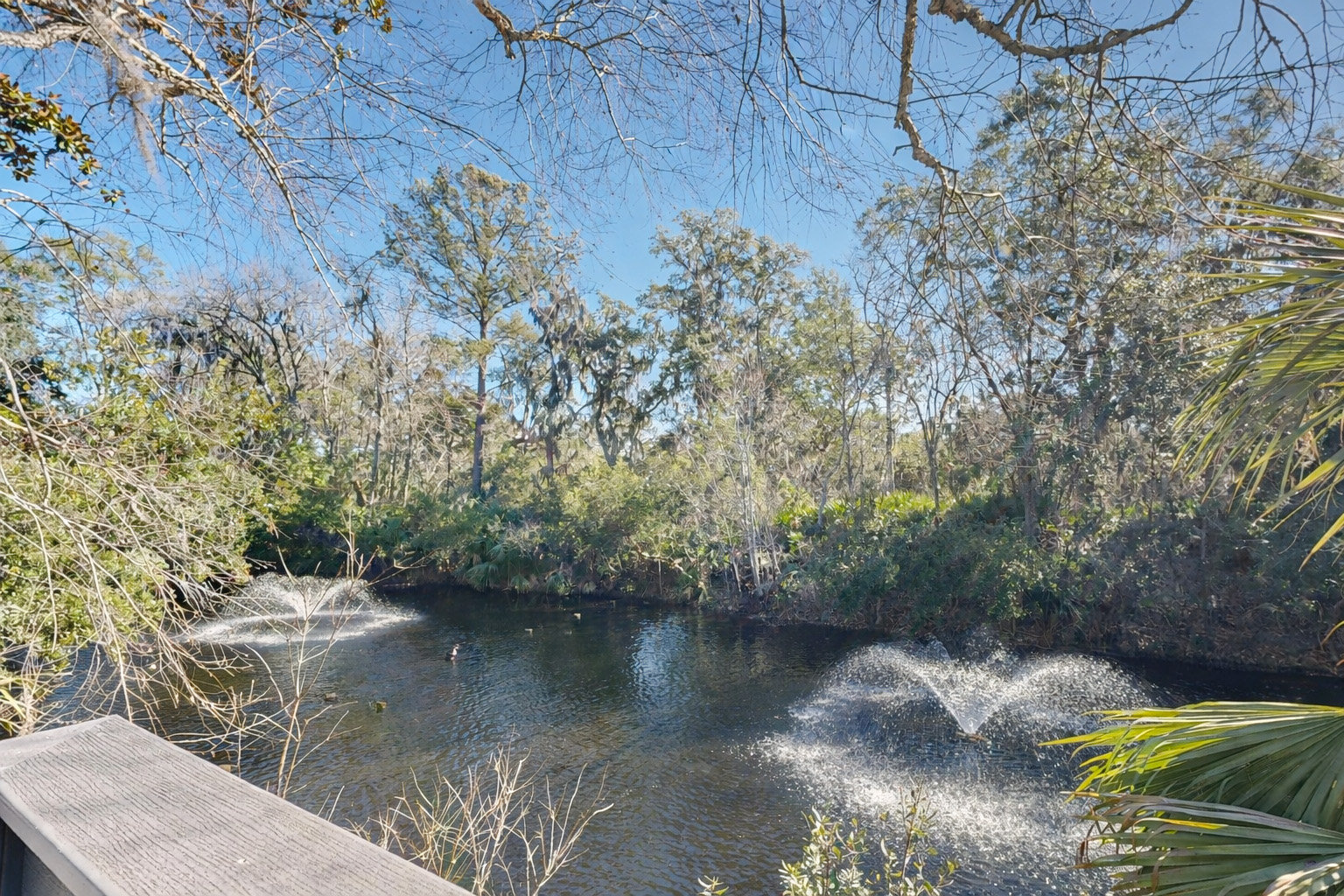 Hilton Head Vacation Rental