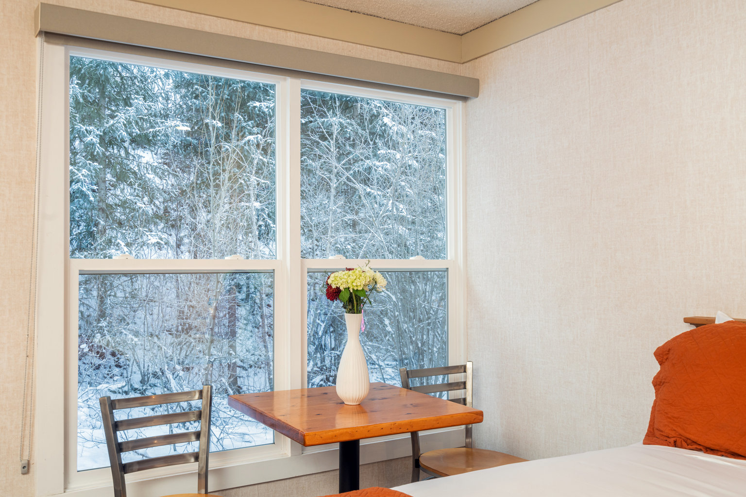 Telluride Vacation Rental