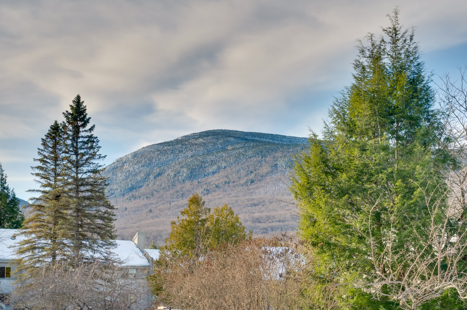 Cambridge Vacation Rental