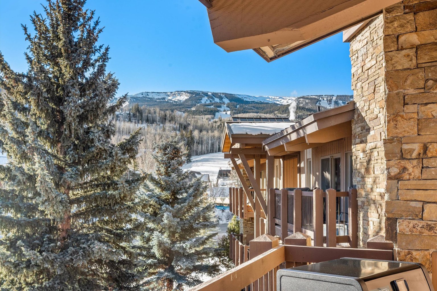 Snowmass Village Vacation Rental
