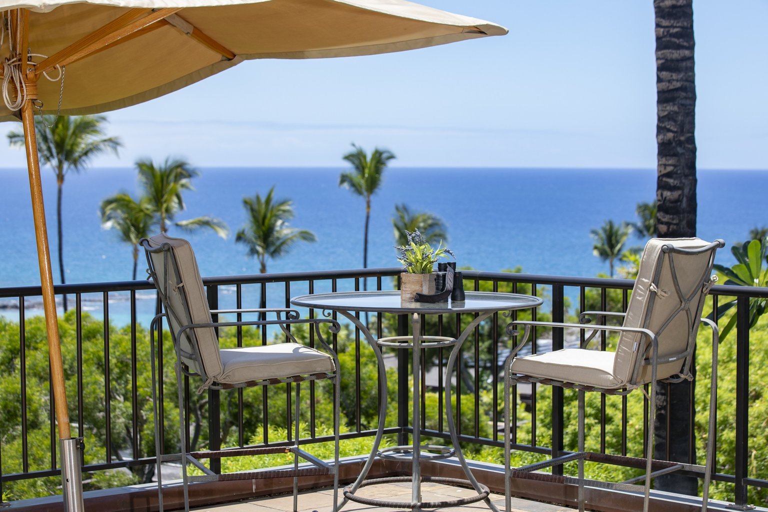 Kamuela Vacation Rental