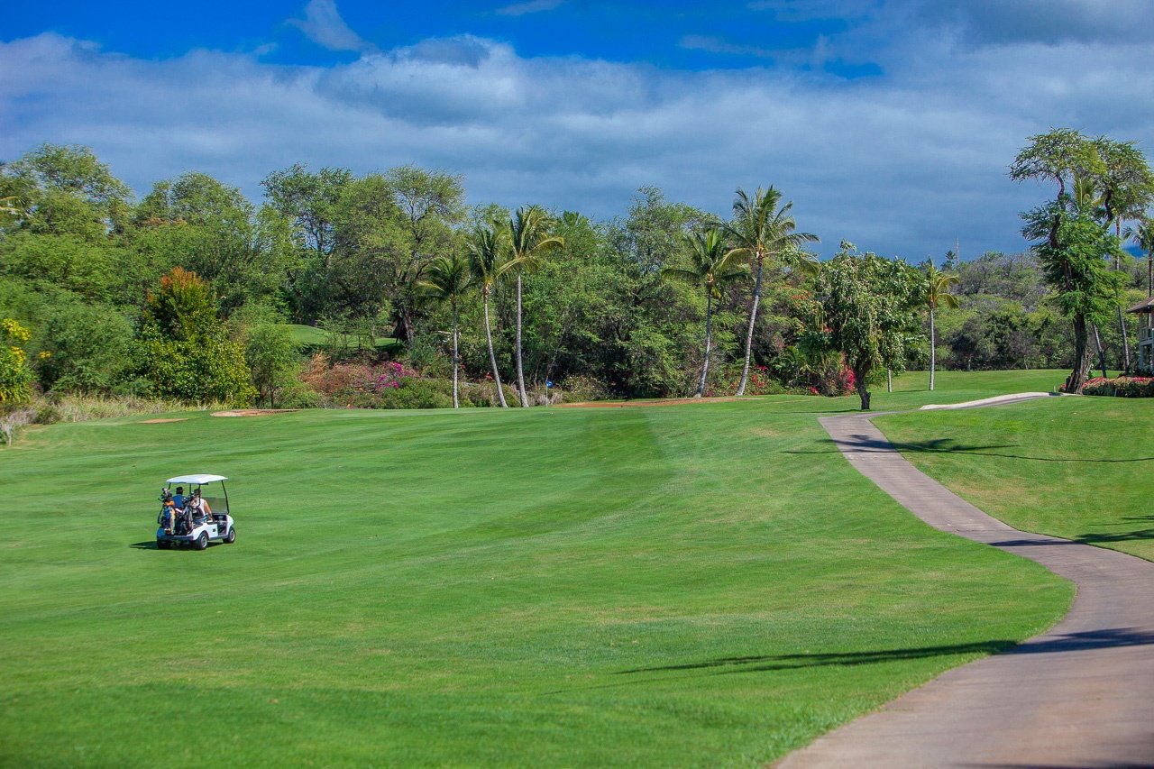 Wailea Vacation Rental