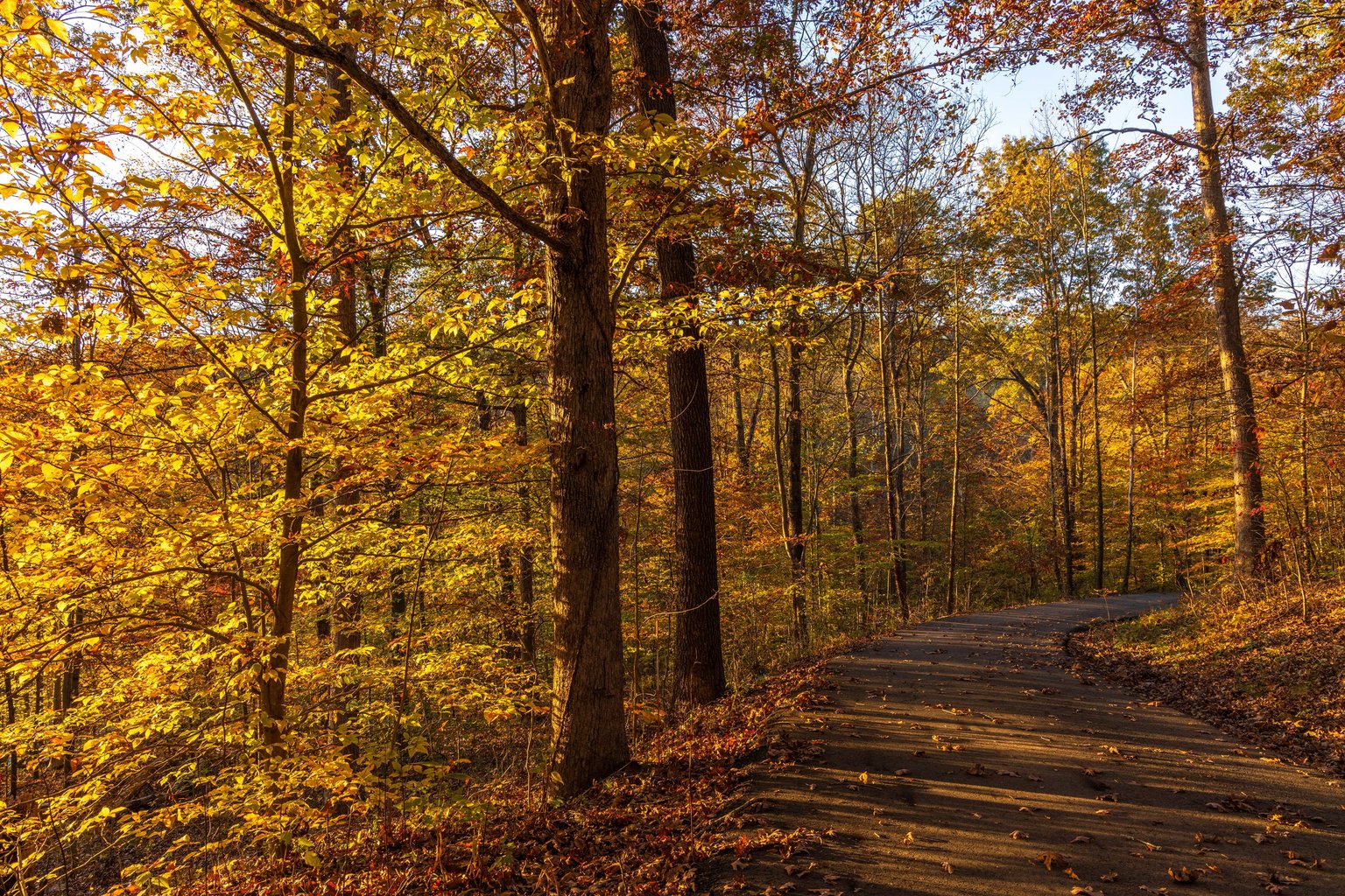 Logan Vacation Rental