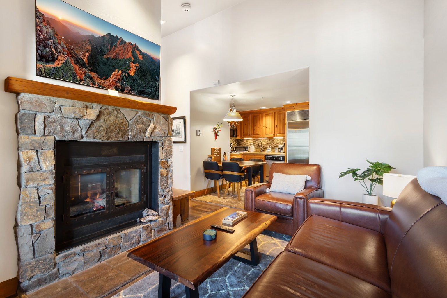 Mountain Village Vacation Rental