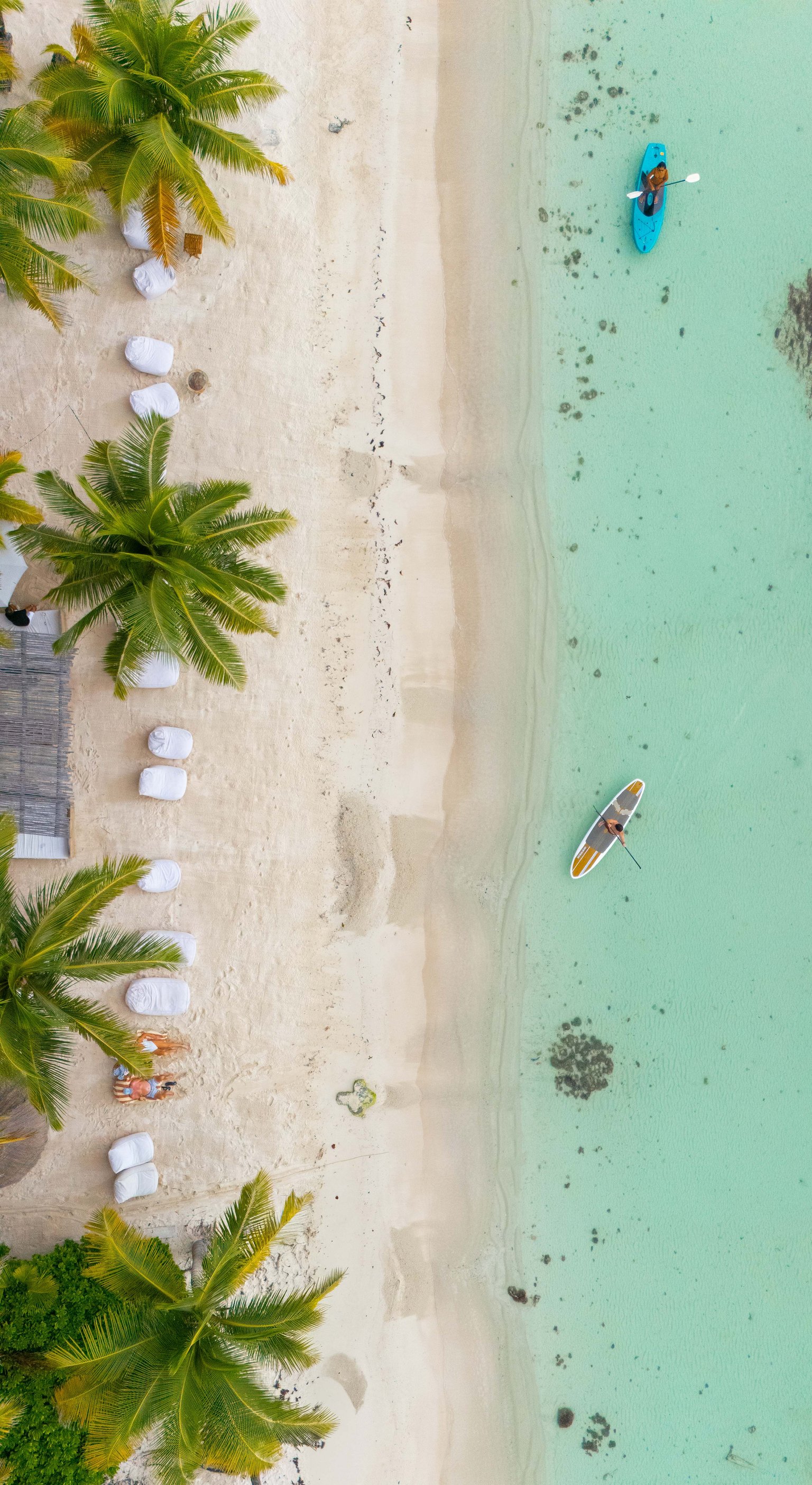 null Vacation Rental