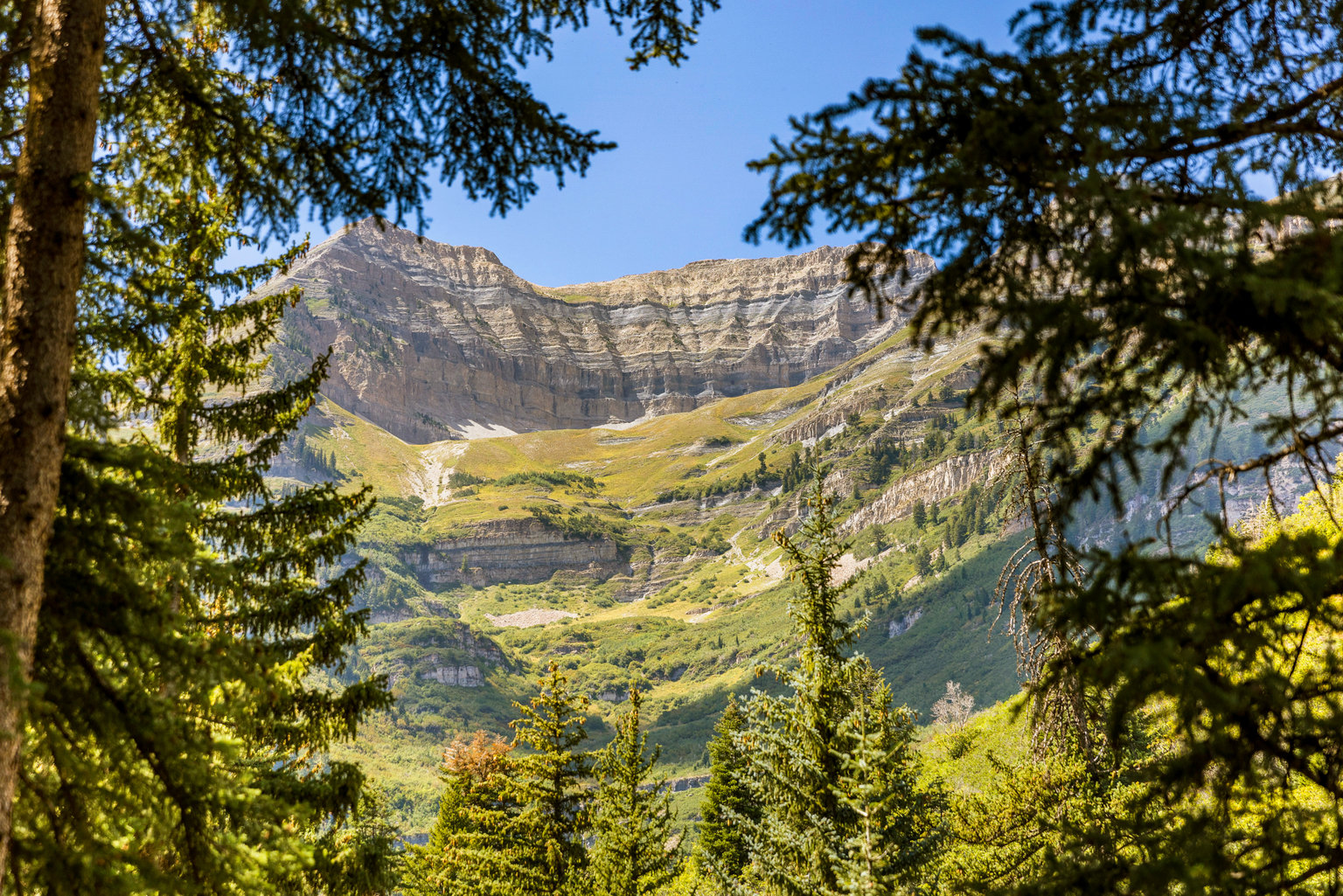 Sundance Vacation Rental