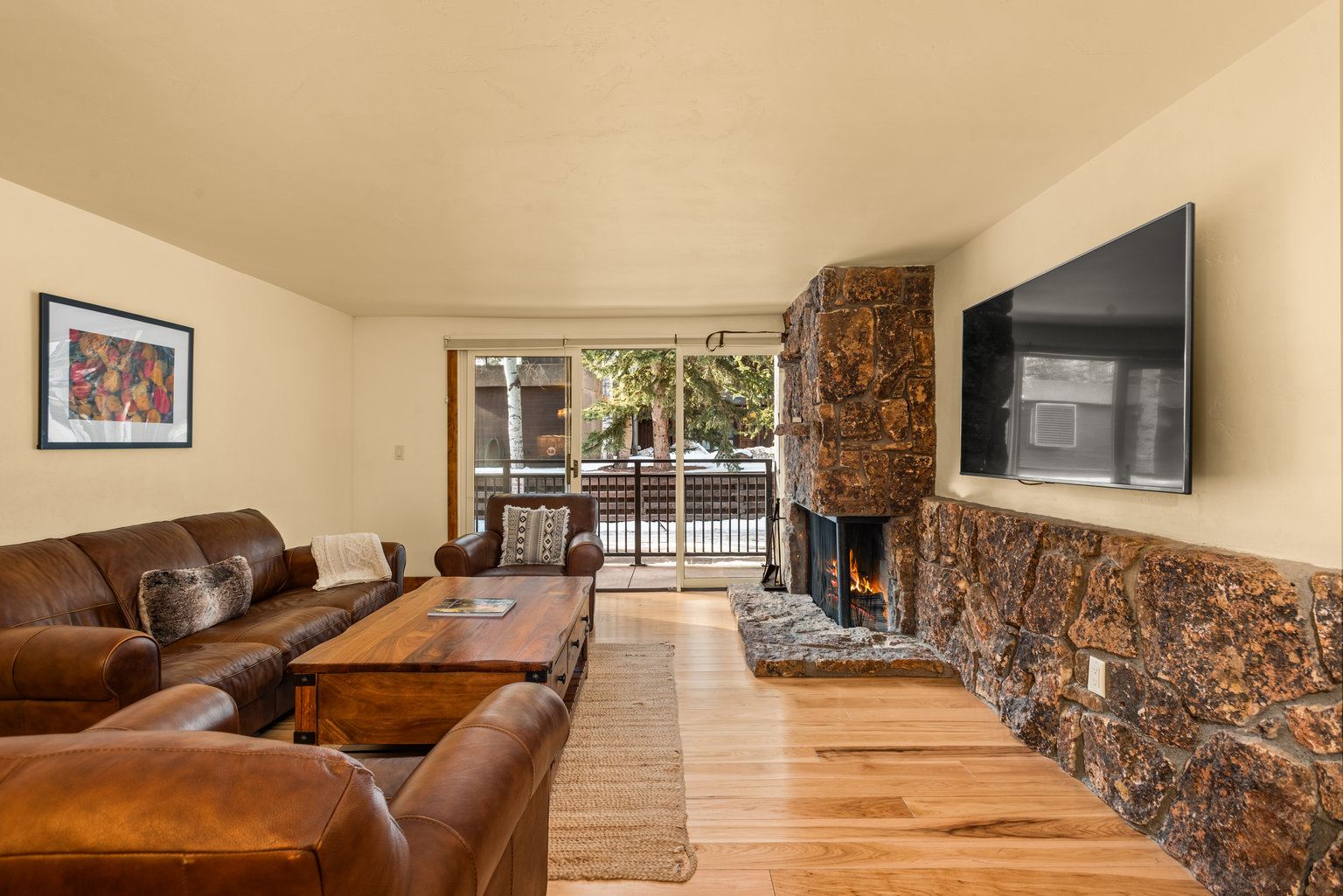 Aspen Vacation Rental